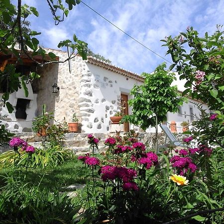 Quinta Do Tempo Turismo Rural Monchique Ngoại thất bức ảnh