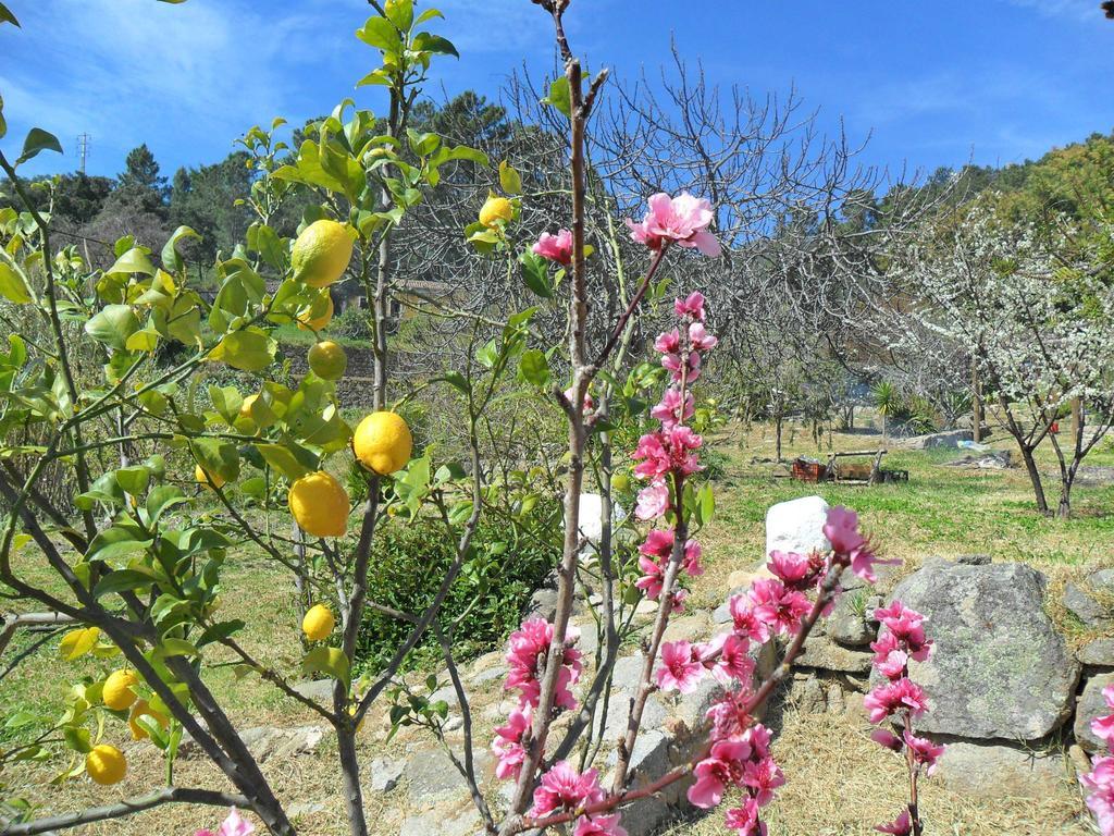 Quinta Do Tempo Turismo Rural Monchique Phòng bức ảnh