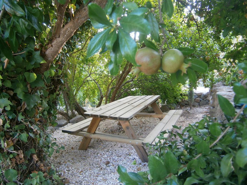 Quinta Do Tempo Turismo Rural Monchique Ngoại thất bức ảnh