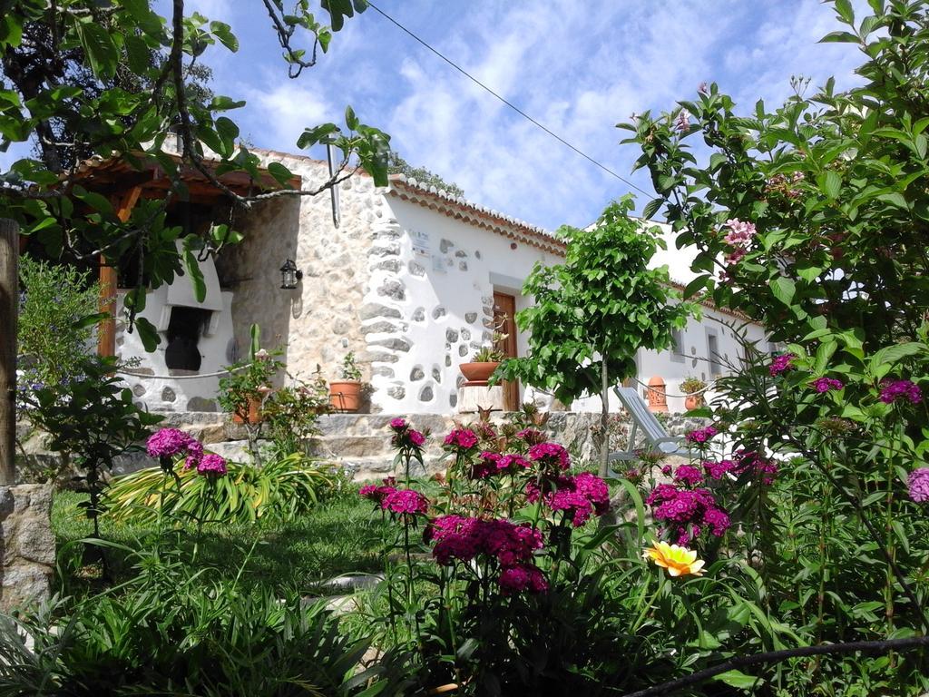Quinta Do Tempo Turismo Rural Monchique Ngoại thất bức ảnh